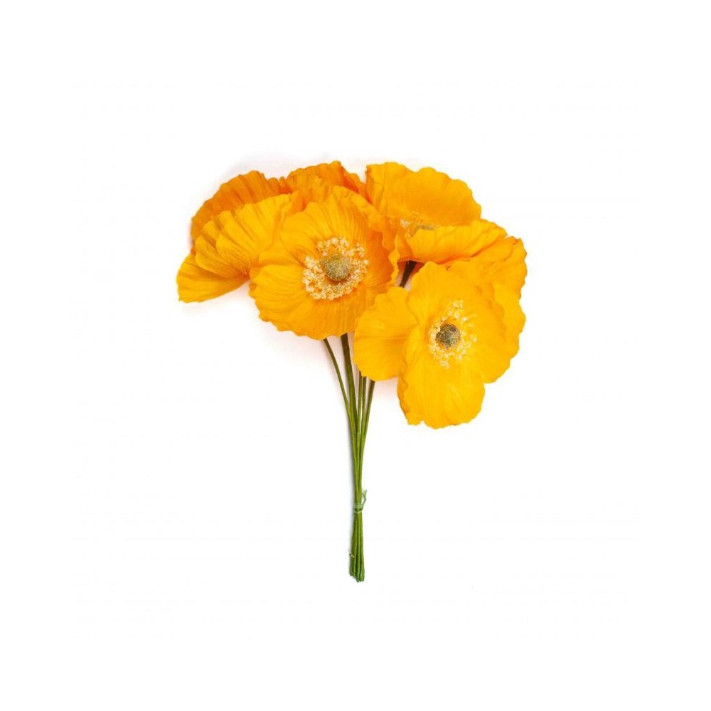 PAPAVERO GIALLO D7 H16